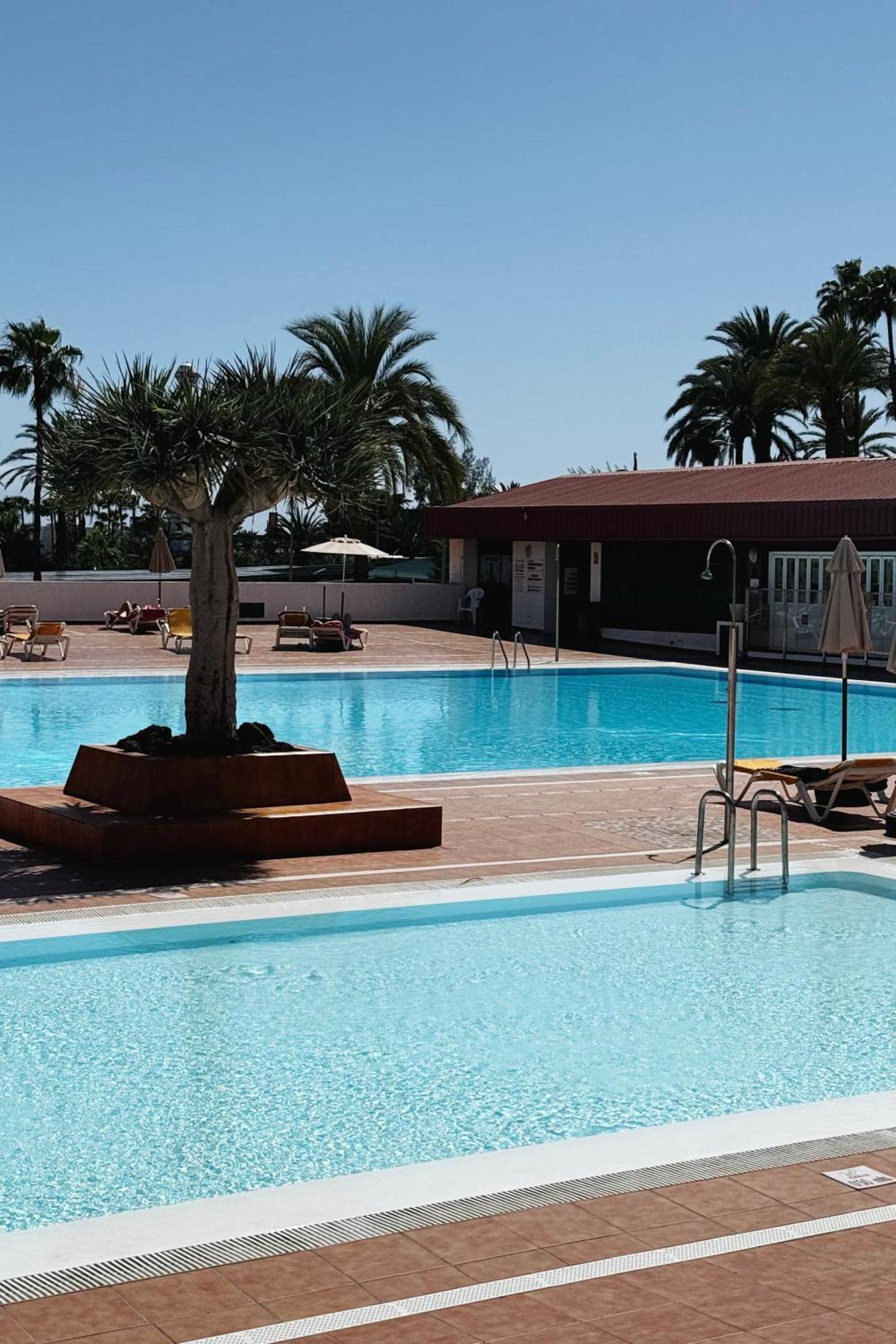Lovely Apartment In San Agustin: Steps Away From Playa Del Ingles And Maspalomas! San Bartolomé エクステリア 写真